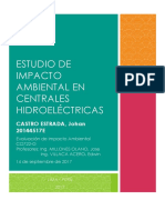 Estudio de Impacto Ambiental en Centrales Hidroeléctricas