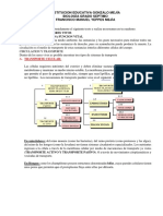 Guia Septimo Circulacion en Plantas