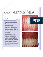 Anatomia Del Periodonto