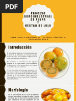 Exposicion Frutas y Hortalizas