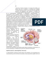 Trabajo Escrito Glandulas Endocrinas