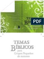 Libro-Temas Biblicos para Grupos Pequeños de Menores