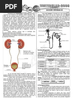 Biologia - Pré-Vestibular Impacto - Sistema Urinário