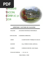 Apertura y Lectura de Calicatas