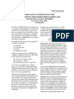 Fortalezas y Debilidades Del Movimiento Misionero Iberoamericano Mujeres Informe 2014