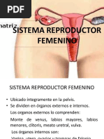 Sistemareproductorfemenino 111023220615 Phpapp02