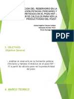 Analizacion Del Reservorio en La Formación Petacas