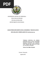 CARACTERIZACIÓN MORFOLÓGICA DE Xanthomonas PDF