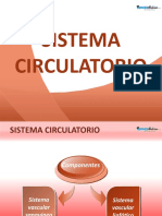 Sistema Circulatorio