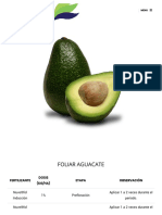 Foliar y Fertirrigación Aguacate - Nuves