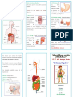 Triptico Sistema Digestivo 3