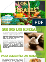 Los Minerales Diapos