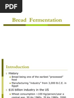 Bread Fermentation