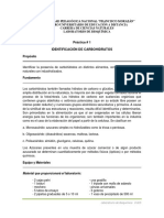 Práctica 1. Identificación de Carbohidratos