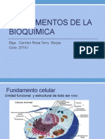 Fundamentos de La Bioquimica 