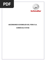 Curriculum Schindler 2017