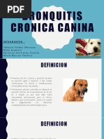 Bronquitis Cronica Canina