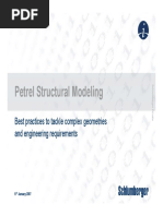 Petrel Structural Modeling