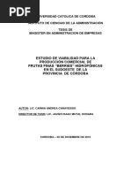 TESIS Lic Carina Canavessio MDE 2010 PDF