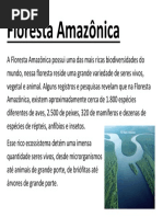 Floresta Amazonica