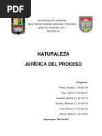 Naturaleza Juridica Del Proceso Procesal Civil