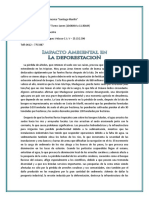 Impacto Ambiental en La Deforestación.