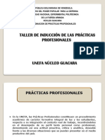 Taller de Induccion Practicas Profesionales