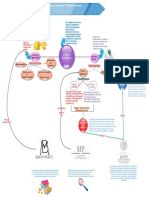 Mapa Politica Financiera