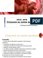 PowerPoint Cuidados Na Saúde Materna