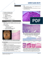 Pathology 5.05a Cervix