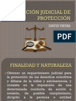 Acción Judicial de Protección