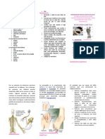 Triptico de Neurologia Diabetica