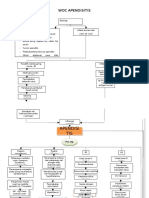 Woc Apendisitis PDF