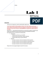 Juniper Lab1 BGP Exercise BGP Peering PDF