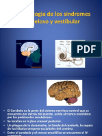 2 Sindrome Cerebeloso y Vestibular2