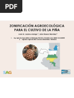 III Ciclo de Conferencias de La Piña ZONIFICACIÓN AGROECOLÓGICA PARA EL CULTIVO DE LA PIÑA