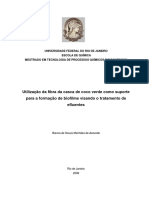 Fibra Da Casca de Coco Verde para Biofilme Visando o Tratamento de Efluentes