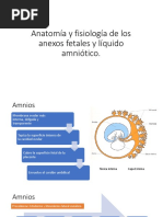 Anatomía y Fisiología de Los Anexos Fetales y