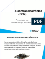 Diapocitivas de ECM