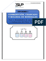 Evaluación de Flow Sheet y Leyes y Densidades