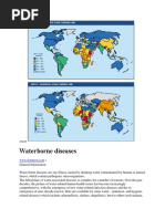 Waterborne Diseases