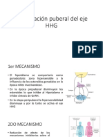 Reactivación Puberal Del Eje HHG