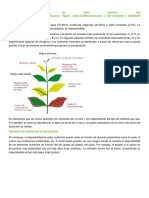 Carencia de Nutrientes en Las Plantas