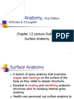 Human Anatomy,: Chapter 13 Lecture Outline: Surface Anatomy