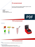 PCR Convencional - Generalidades