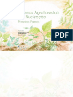 CARTILHA - Sintemas Agroflorestais Por Nucleação PDF