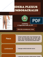 Pleksus Lumbosakralis