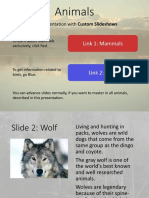 Animals: Test Presentation With Custom Slideshows