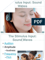 The Stimulus Input: Sound Waves