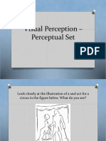 Visual Perception - Perceptual Set